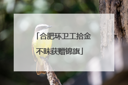 合肥环卫工拾金不昧获赠锦旗