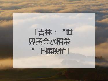 吉林：“世界黄金水稻带”上插秧忙