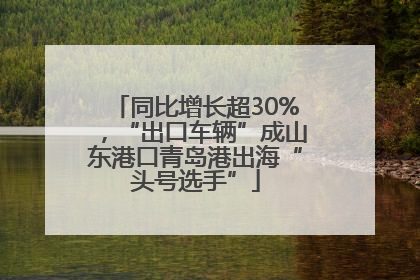 同比增长超30%，“出口车辆”成山东港口青岛港出海“头号选手”
