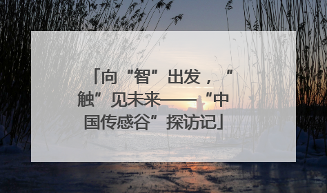 向“智”出发，“触”见未来——“中国传感谷”探访记