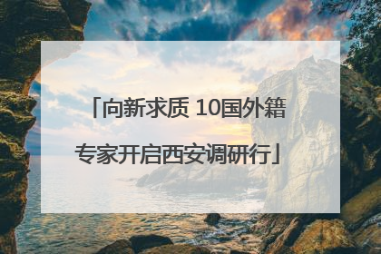 向新求质 10国外籍专家开启西安调研行