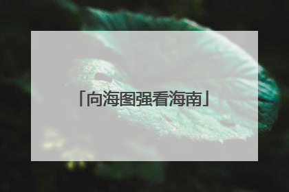 向海图强看海南