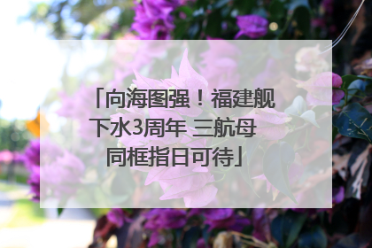 向海图强！福建舰下水3周年 三航母同框指日可待