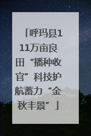 呼玛县111万亩良田“播种收官”科技护航蓄力“金秋丰景”