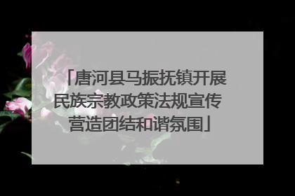 唐河县马振抚镇开展民族宗教政策法规宣传 营造团结和谐氛围