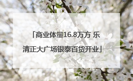 商业体量16.8万方 乐清正大广场银泰百货开业