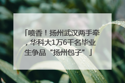 喷香！扬州武汉两手牵，华科大1万6千名毕业生争品“扬州包子”