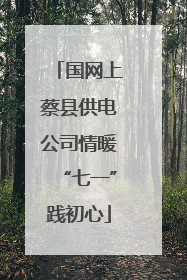 国网上蔡县供电公司情暖“七一”践初心