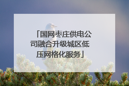 国网枣庄供电公司融合升级城区低压网格化服务