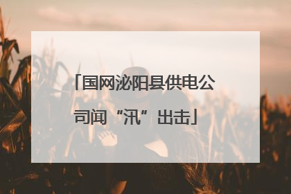 国网泌阳县供电公司闻“汛”出击