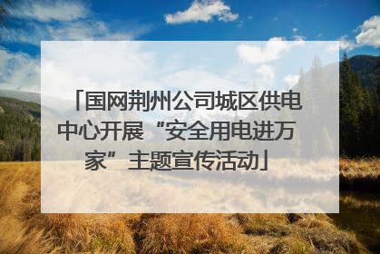 国网荆州公司城区供电中心开展“安全用电进万家”主题宣传活动