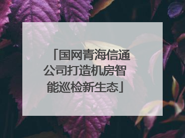 国网青海信通公司打造机房智能巡检新生态