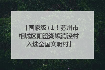 国家级+1！苏州市相城区阳澄湖镇消泾村入选全国文明村