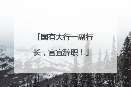 国有大行一副行长，官宣辞职！