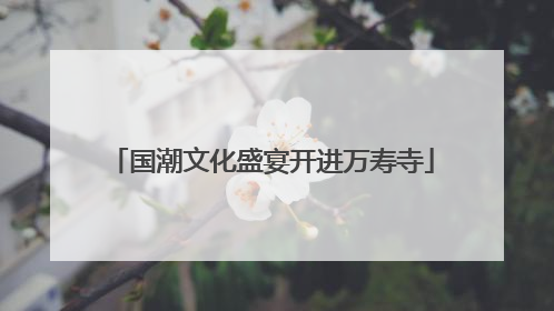 国潮文化盛宴开进万寿寺