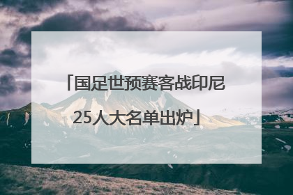 国足世预赛客战印尼25人大名单出炉