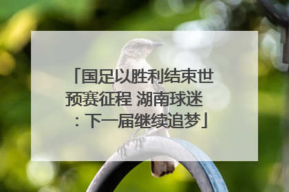 国足以胜利结束世预赛征程 湖南球迷：下一届继续追梦