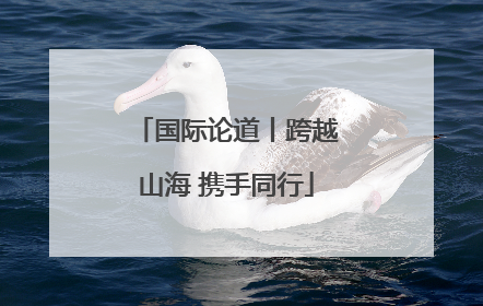 国际论道丨跨越山海 携手同行