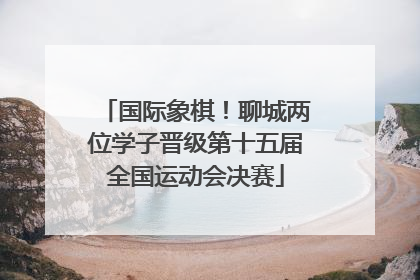 国际象棋！聊城两位学子晋级第十五届全国运动会决赛