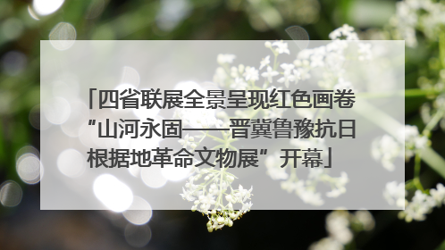 四省联展全景呈现红色画卷“山河永固——晋冀鲁豫抗日根据地革命文物展”开幕