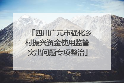 四川广元市强化乡村振兴资金使用监管突出问题专项整治