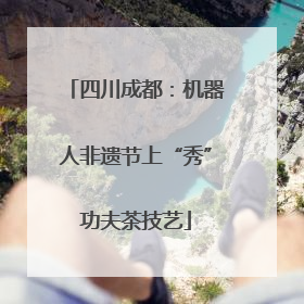 四川成都：机器人非遗节上“秀”功夫茶技艺