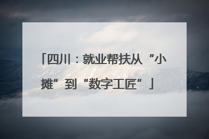 四川：就业帮扶从“小摊”到“数字工匠”