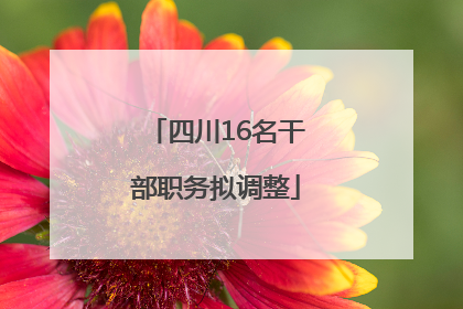 四川16名干部职务拟调整