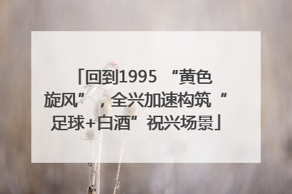回到1995 “黄色旋风”，全兴加速构筑“足球+白酒”祝兴场景