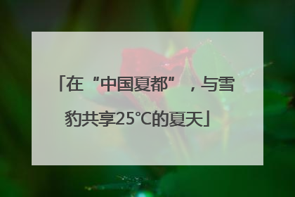 在“中国夏都”，与雪豹共享25℃的夏天