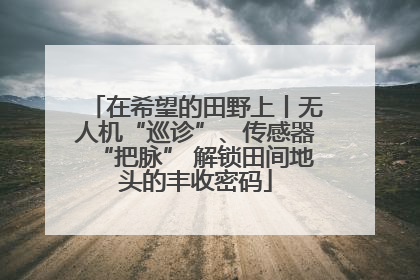 在希望的田野上丨无人机“巡诊”、传感器“把脉” 解锁田间地头的丰收密码