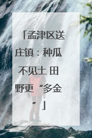 孟津区送庄镇：种瓜不见土 田野更“多金”