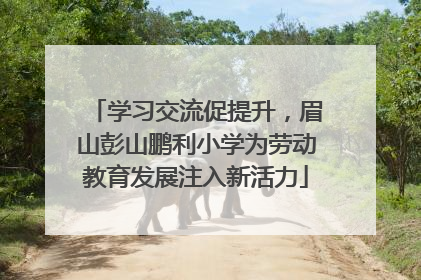 学习交流促提升，眉山彭山鹏利小学为劳动教育发展注入新活力