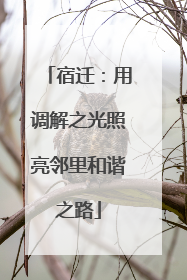 宿迁：用调解之光照亮邻里和谐之路