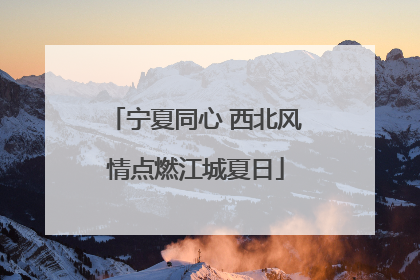 宁夏同心 西北风情点燃江城夏日