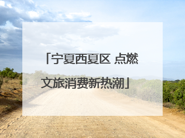 宁夏西夏区 点燃文旅消费新热潮