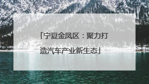 宁夏金凤区：聚力打造汽车产业新生态