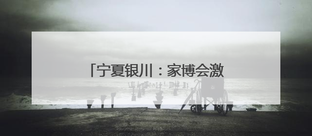 宁夏银川：家博会激活家居消费新动能