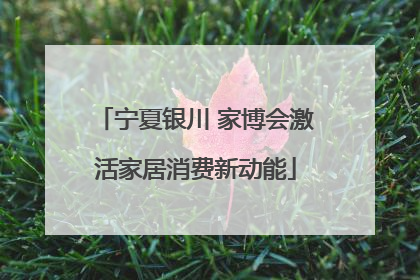 宁夏银川 家博会激活家居消费新动能