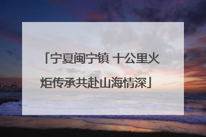 宁夏闽宁镇 十公里火炬传承共赴山海情深