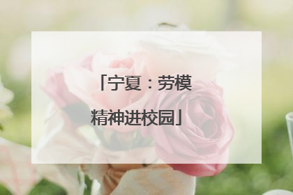 宁夏：劳模精神进校园