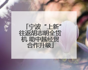 宁波“上新”往返胡志明全货机 助中越经贸合作升级