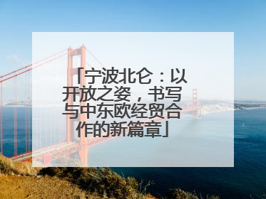 宁波北仑：以开放之姿，书写与中东欧经贸合作的新篇章