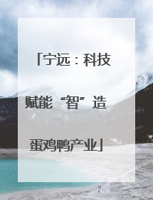 宁远：科技赋能“智”造蛋鸡鸭产业