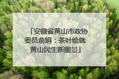 安徽省黄山市政协委员俞娟：茶叶绘就黄山民生新图景