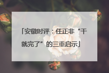 安徽时评：任正非“干就完了”的三重启示
