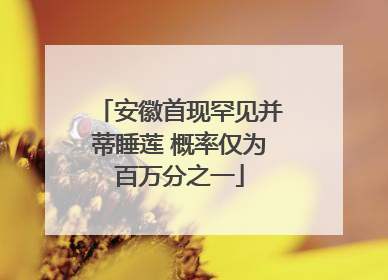 安徽首现罕见并蒂睡莲 概率仅为百万分之一
