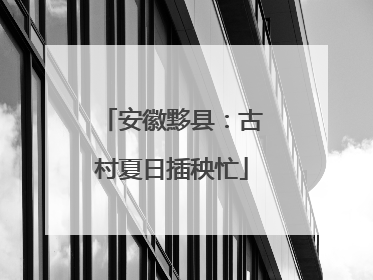 安徽黟县：古村夏日插秧忙