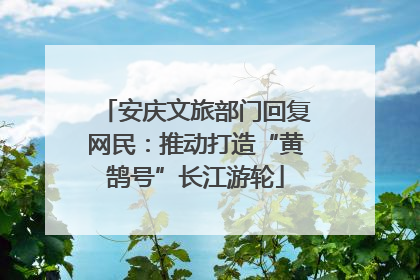 安庆文旅部门回复网民：推动打造“黄鹄号”长江游轮