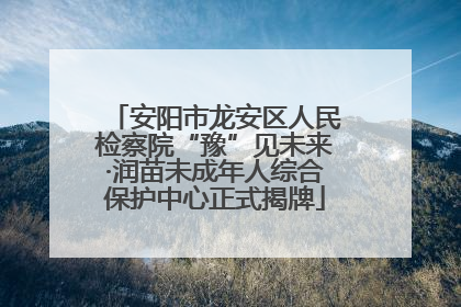 安阳市龙安区人民检察院“豫”见未来·润苗未成年人综合保护中心正式揭牌
